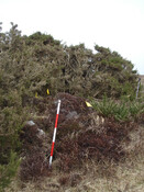 MHG9125_04.JPG