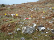 MHG9126_03.JPG