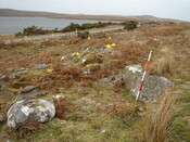 MHG9126_04.JPG