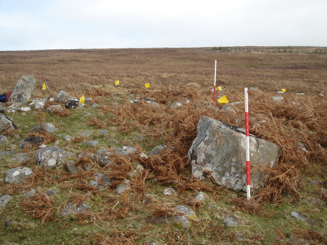 MHG13058_03.JPG