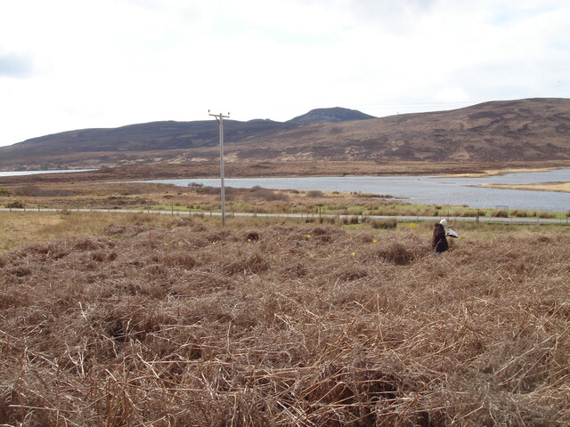 MHG13057_01.JPG