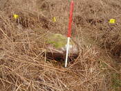 MHG13057_03.JPG