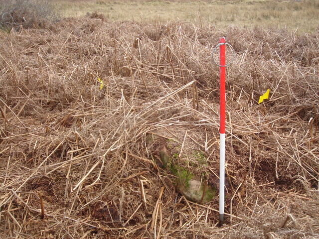 MHG13057_04.JPG