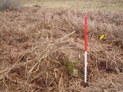 MHG13057_04.JPG