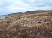 MHG45594_02.JPG