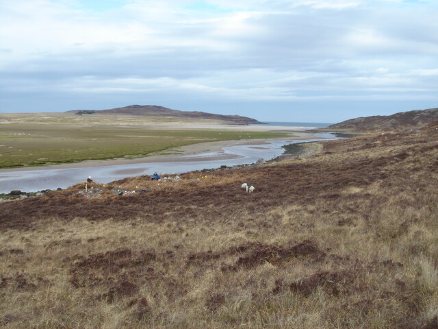 MHG45594_03.JPG