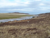 MHG45594_03.JPG