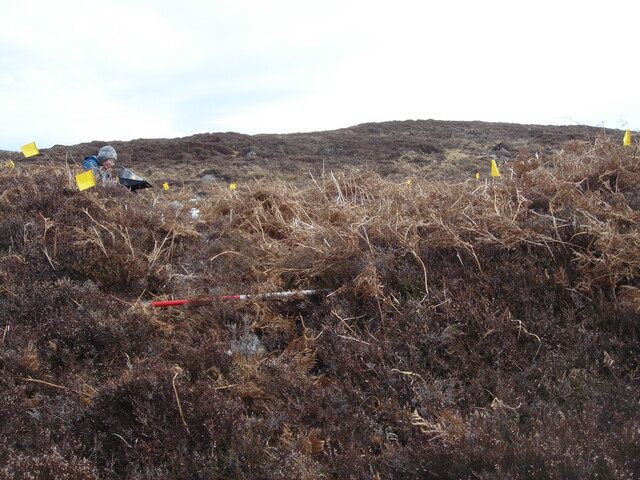MHG45594_04.JPG