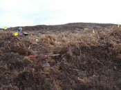 MHG45594_04.JPG