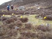 MHG26620_05.JPG
