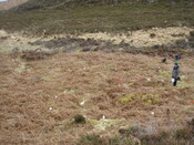 MHG24971_03.JPG