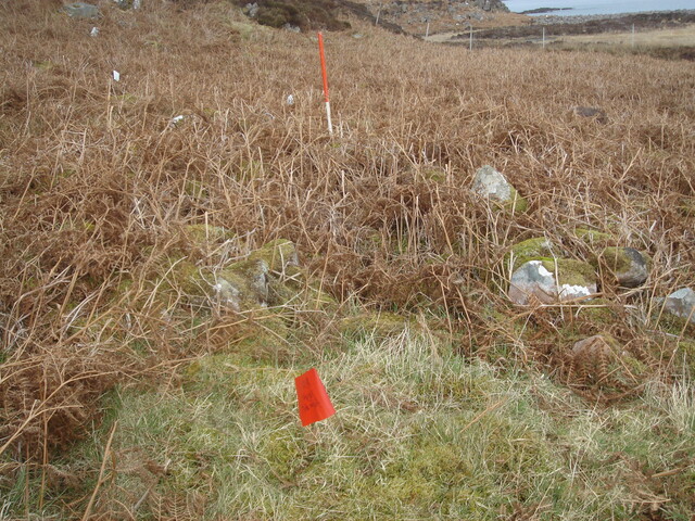 MHG24971_04.JPG