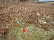 MHG24971_04.JPG