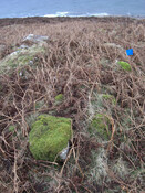 MHG26614_02.JPG