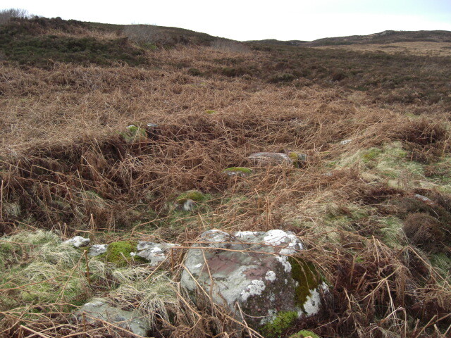 MHG26614_04.JPG