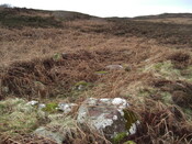 MHG26614_04.JPG