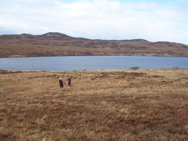 MHG7352_02.JPG