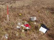MHG7352_04.JPG