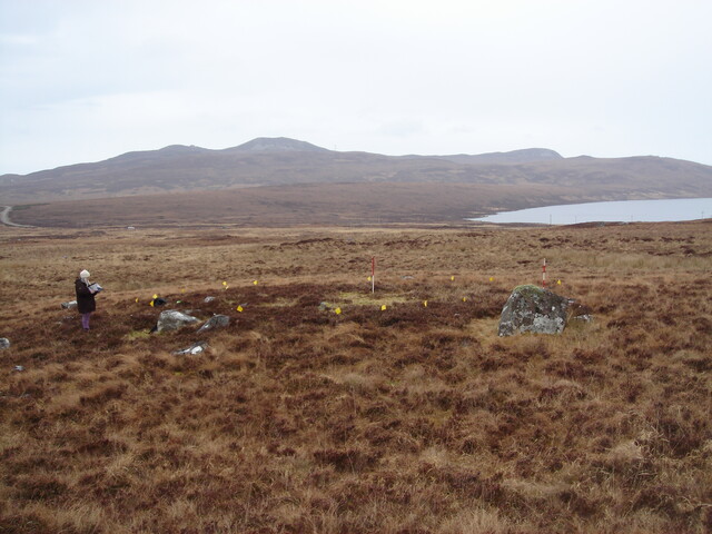 MHG57335_01.JPG