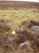 MHG57335_02.JPG