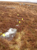 MHG57335_04.JPG