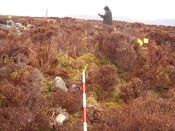 MHG9149_04.JPG
