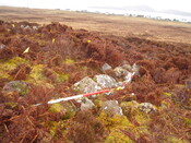 MHG9149_06.JPG