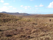 MHG57352_02.JPG