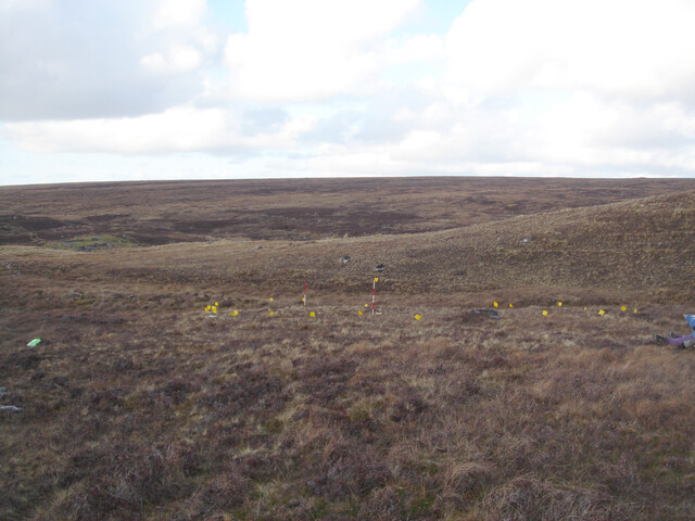 MHG57353_03.JPG