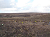 MHG57353_03.JPG