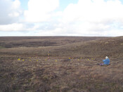 MHG57353_04.JPG