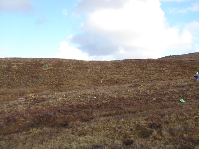 MHG57353_05.JPG