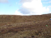 MHG57353_05.JPG