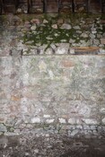 EHG5028_ClearedBarn_42.jpg