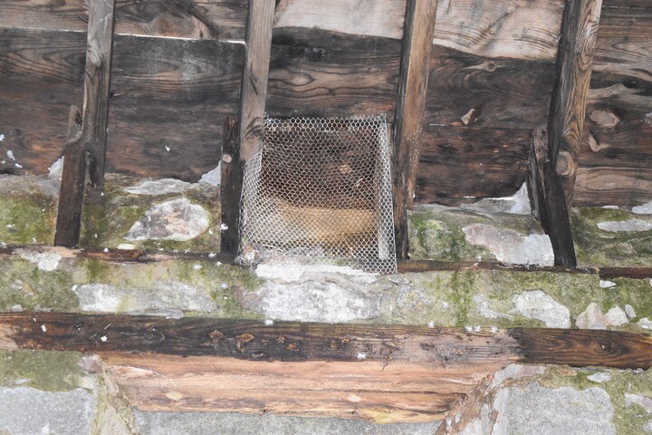 EHG5028_ClearedBarn_56.jpg