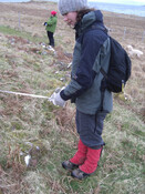 MHG7162_02.JPG