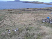 MHG57364_01.JPG