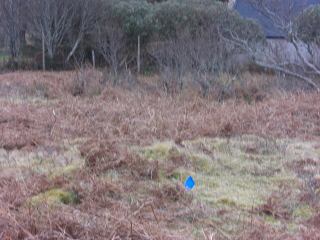 MHG57367_08.JPG