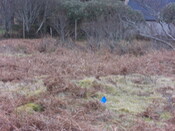 MHG57367_08.JPG