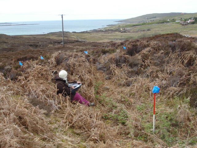MHG33093_03.JPG