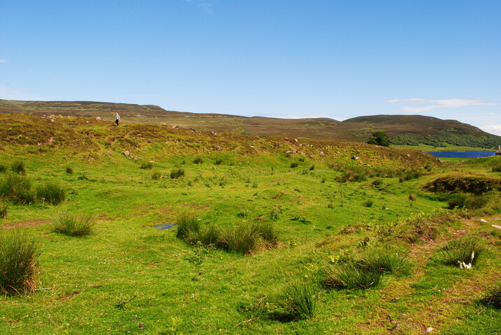 EHG4703_03.JPG
