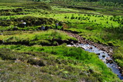 EHG4703_05.JPG