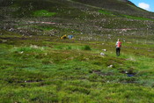 EHG4703_12.JPG