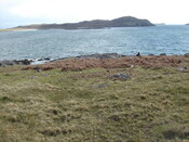 MHG28735_01.JPG