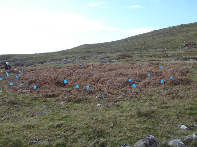 MHG28735_02.JPG