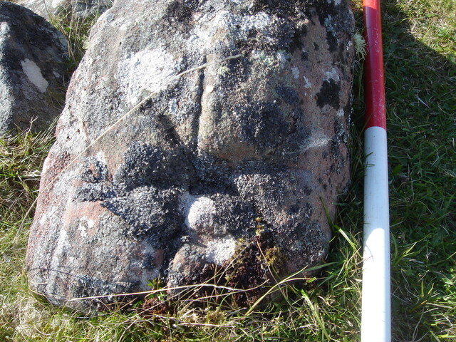 MHG28735_03.JPG