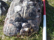 MHG28735_03.JPG