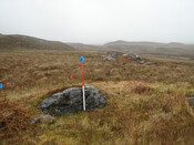 MHG25315_04.JPG