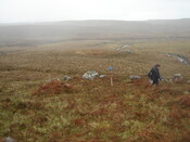 MHG57418_01.JPG