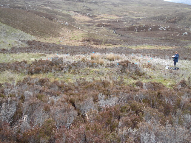 MHG57422_01.JPG